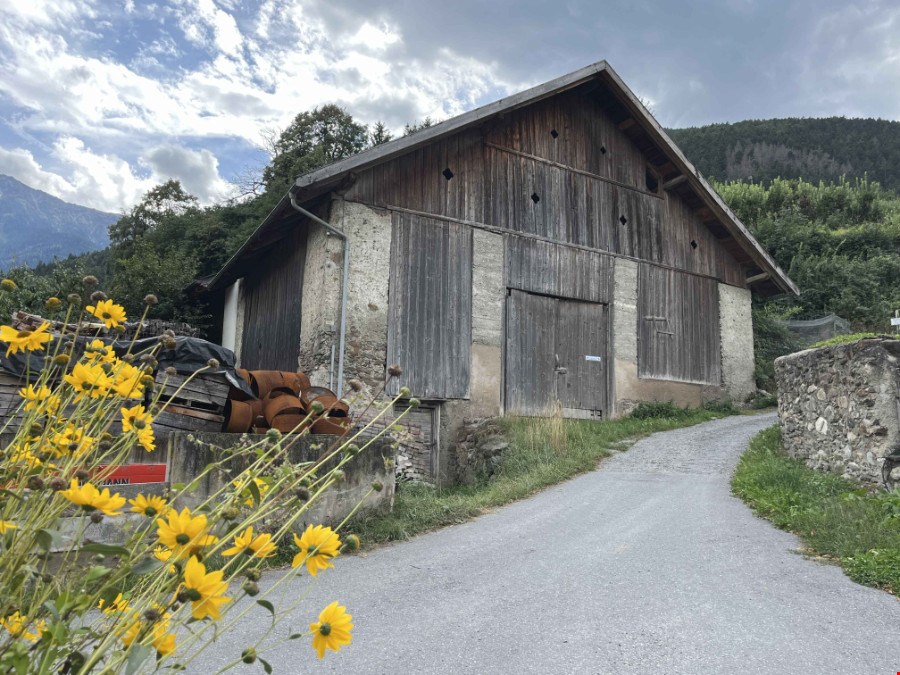 Wohnkubatur im Grünen